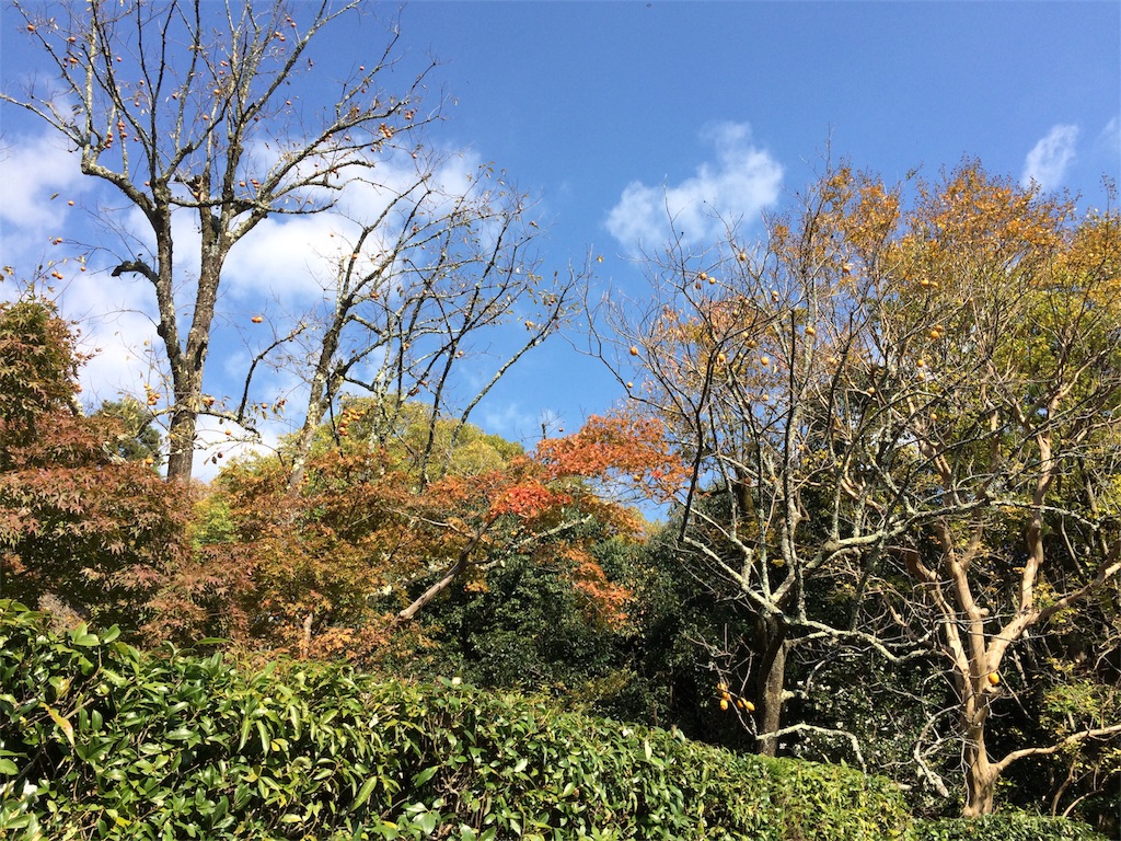f:id:m3785com:20171103175334j:image