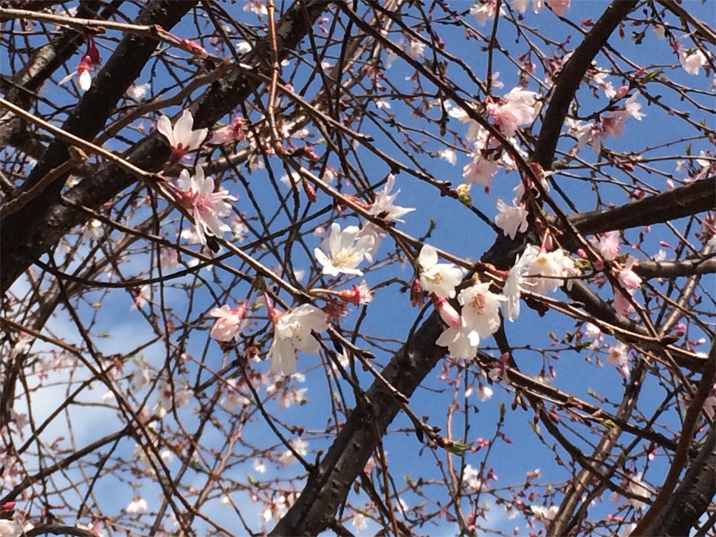 f:id:m3785com:20180321195120j:image