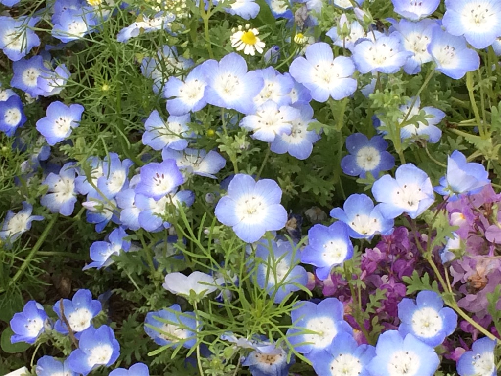 f:id:m3785com:20180506195044j:image
