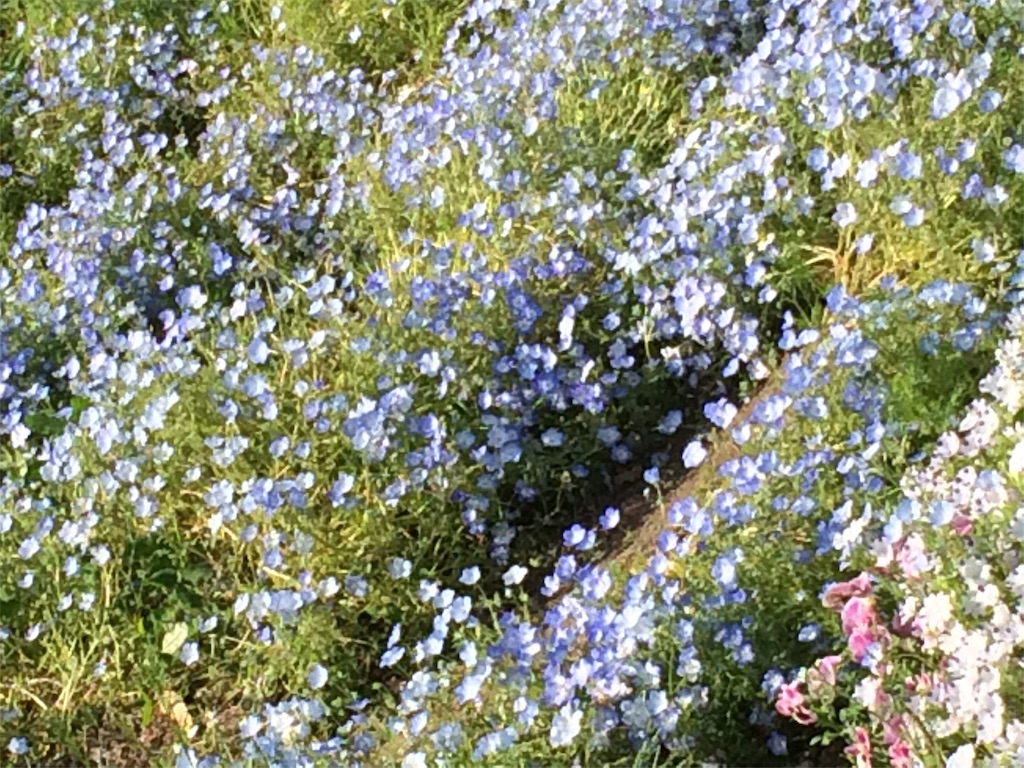 f:id:m3785com:20180506195100j:image