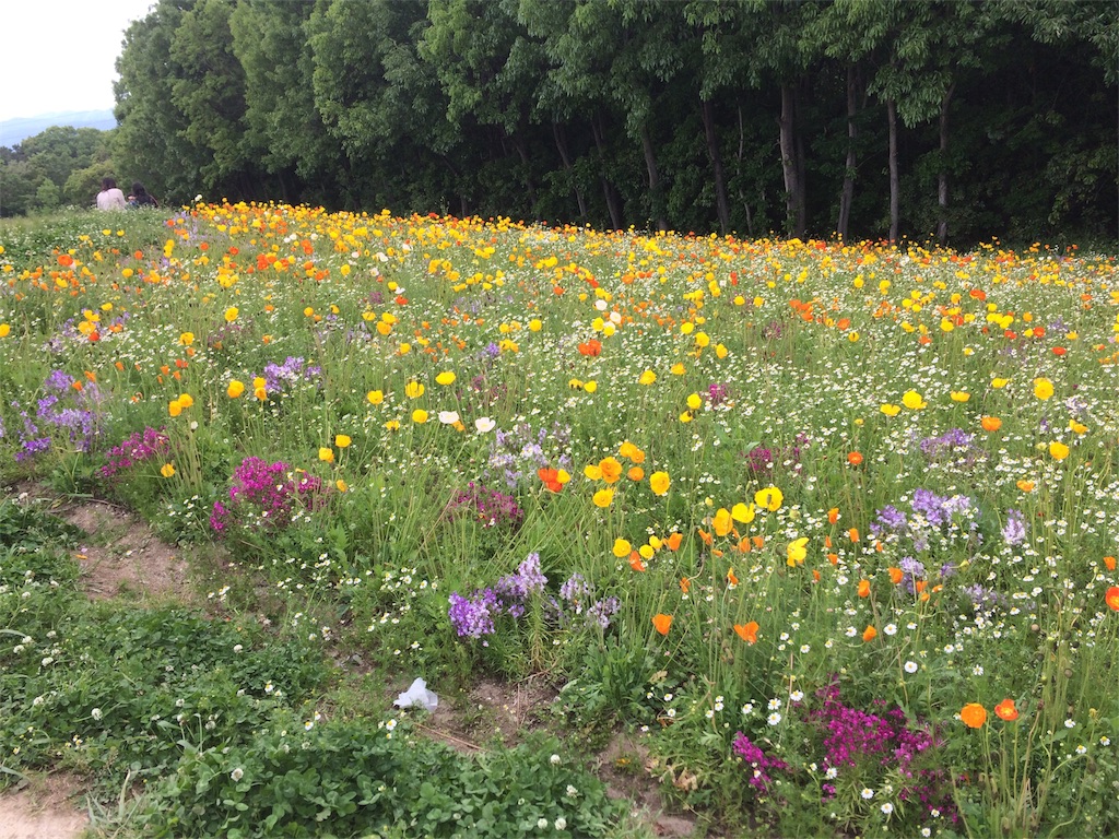 f:id:m3785com:20180506195351j:image