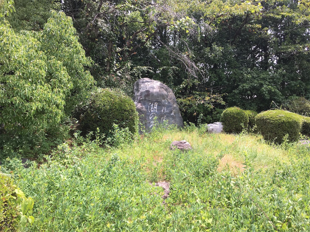 琵琶 4967825693984_320x.jpg?v=