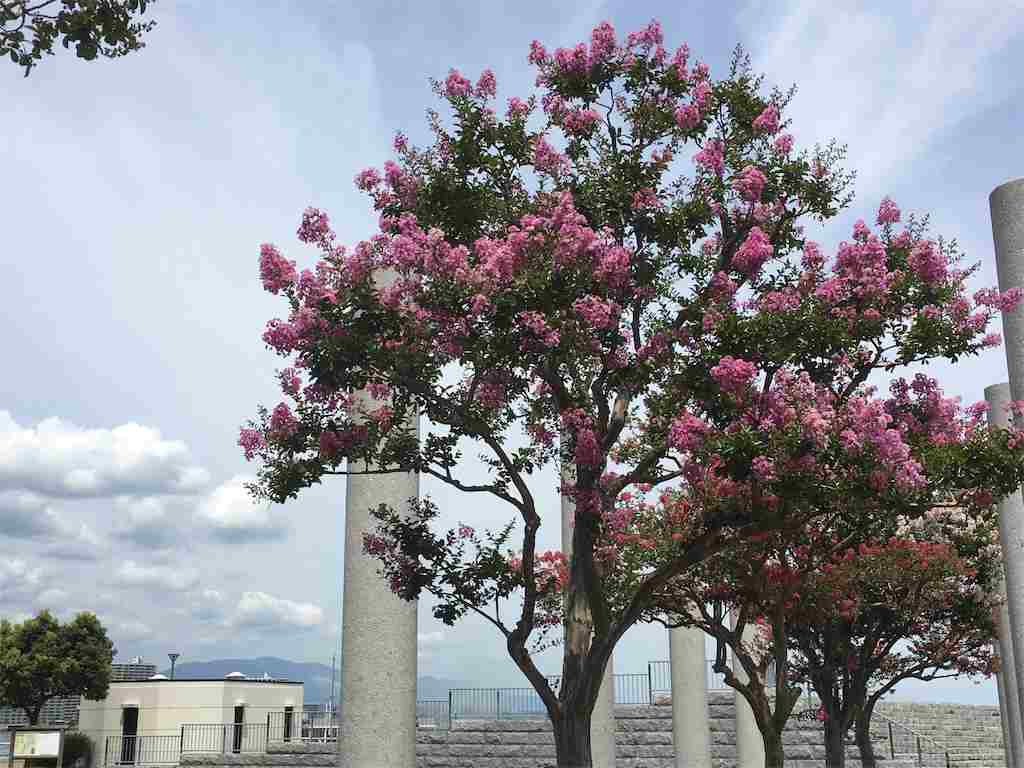 f:id:m3785com:20180912174014j:image