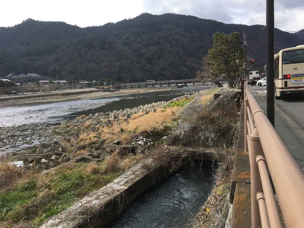 西高瀬川 散歩 2019(31)0210 散歩と写真（京都・大阪ほか） Walker'SceneryPhotos in Kyoto and