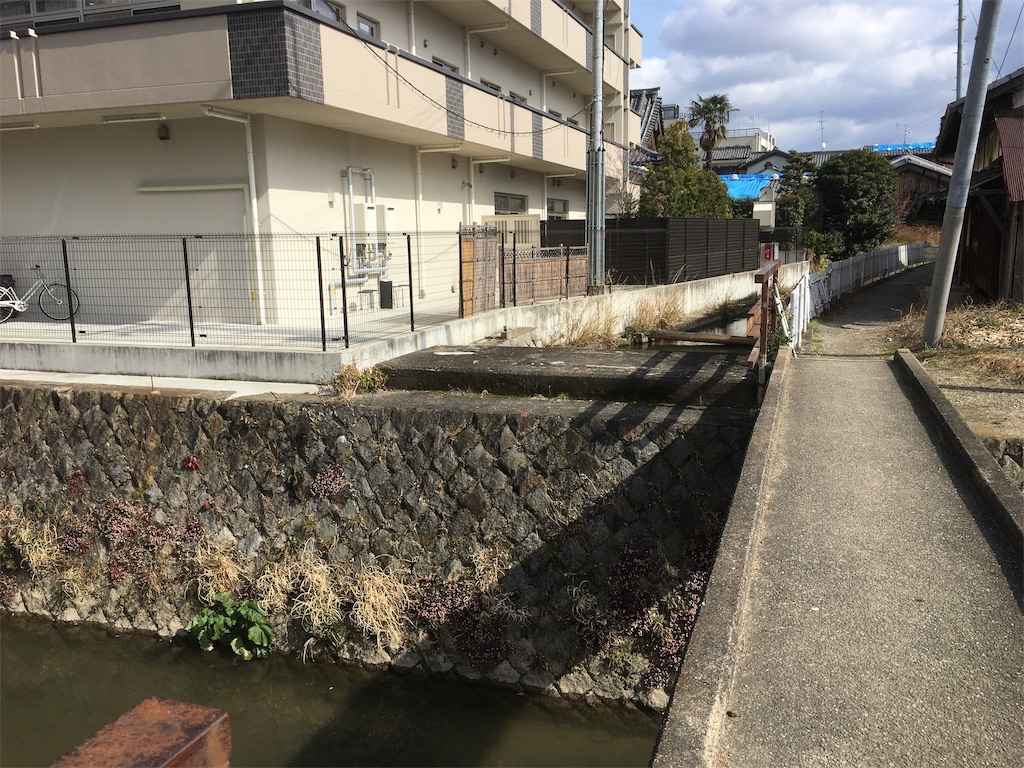 西高瀬川 散歩 2019(31)0210 散歩と写真（京都・大阪ほか） Walker'SceneryPhotos in Kyoto and