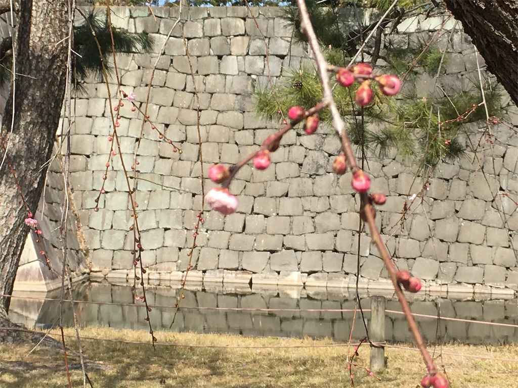f:id:m3785com:20190225210559j:image
