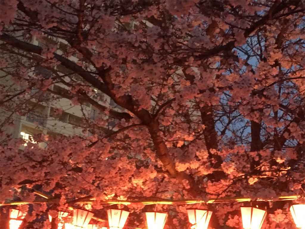 f:id:m3785com:20190403203501j:image