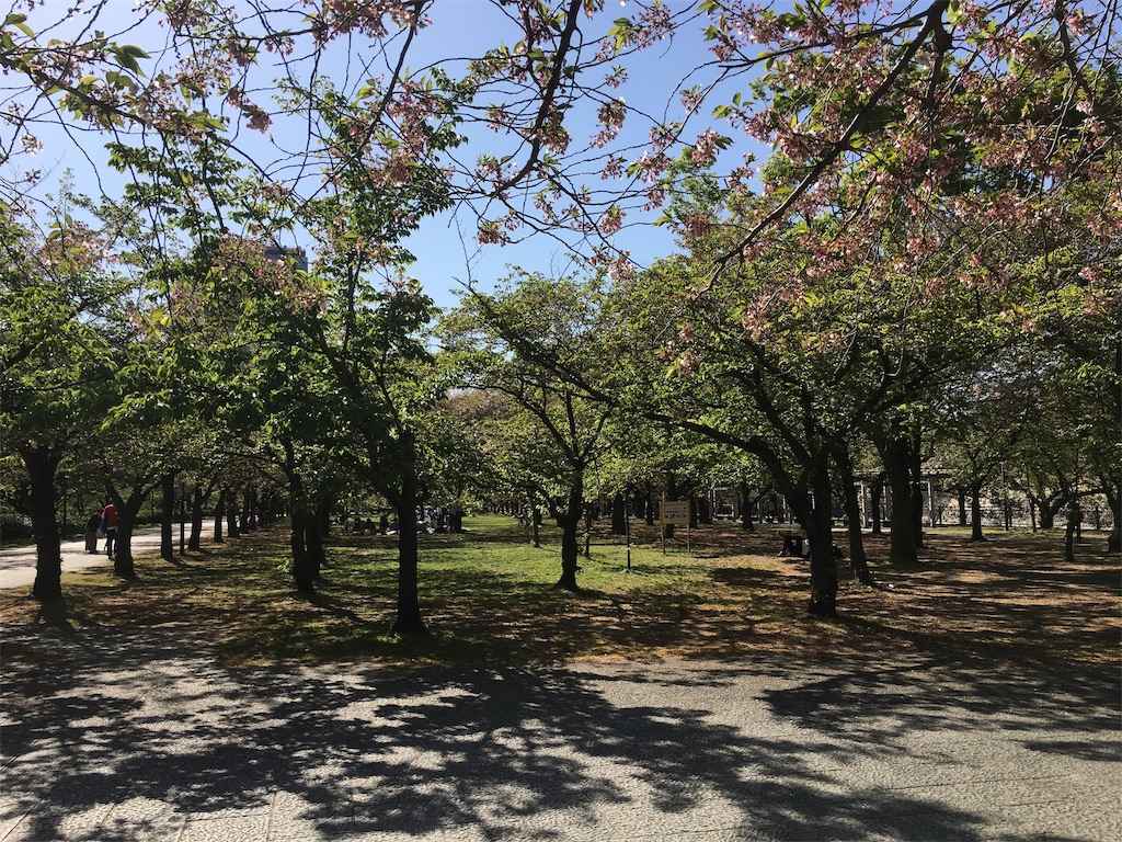 f:id:m3785com:20190420200432j:image