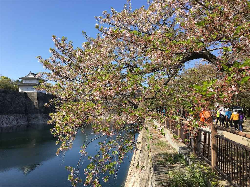 f:id:m3785com:20190423100933j:image