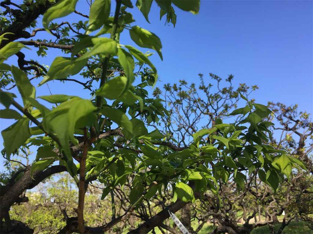 f:id:m3785com:20190423101048j:image