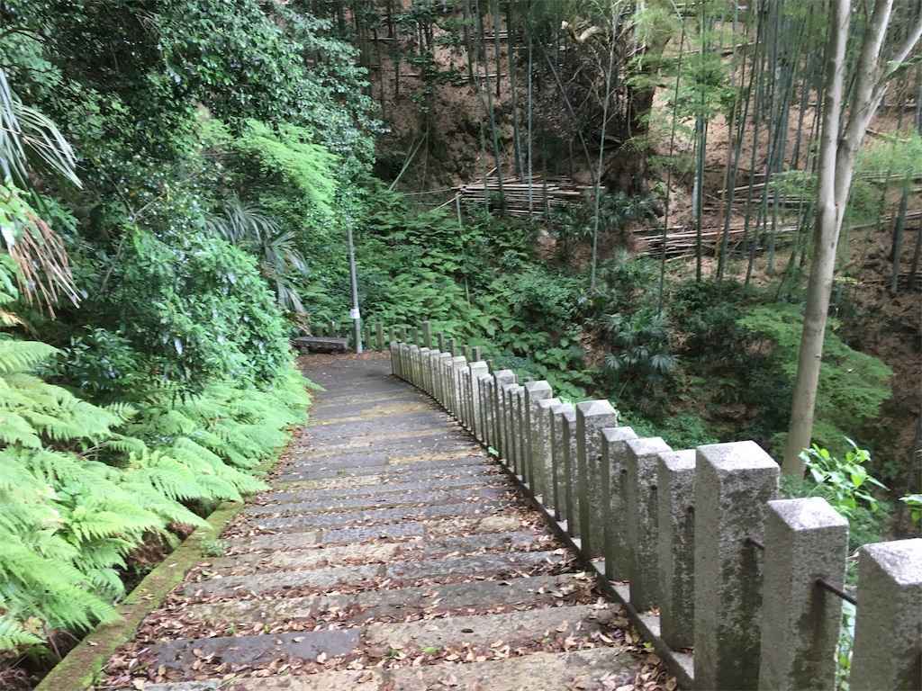 f:id:m3785com:20190619193506j:image