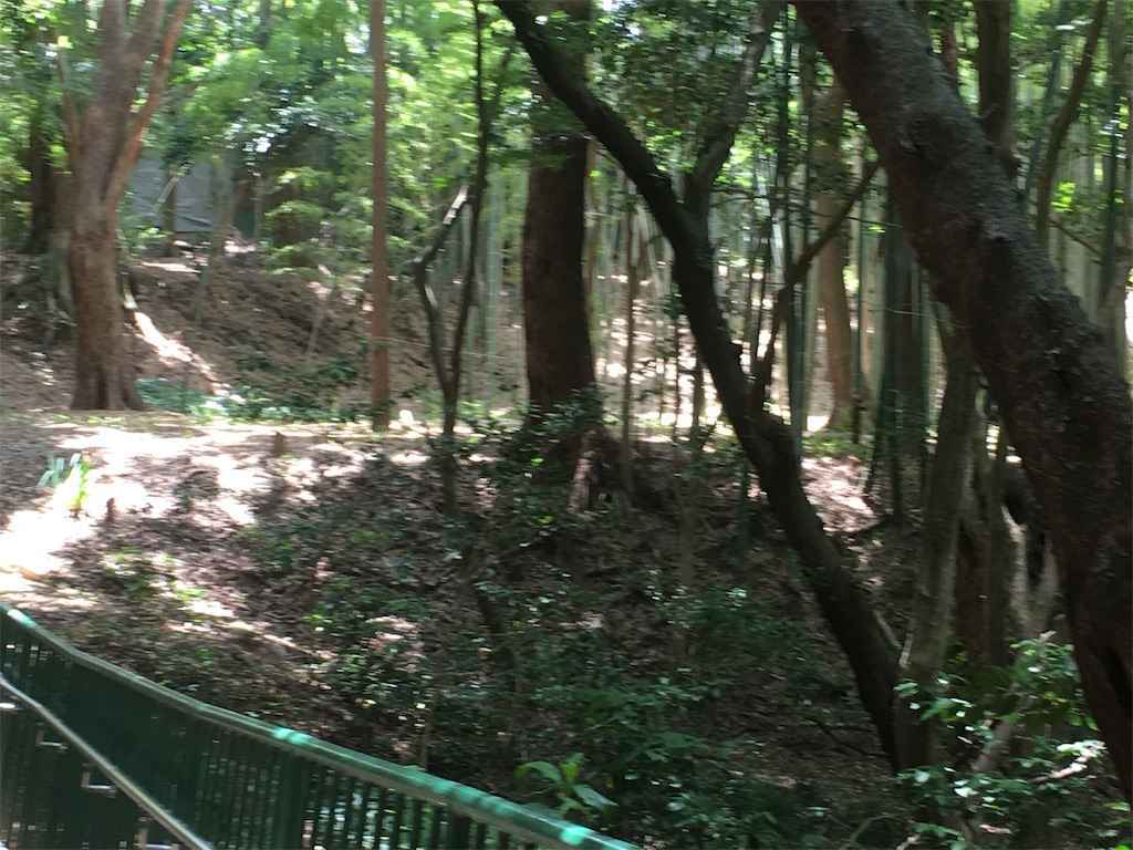 f:id:m3785com:20190619195132j:image