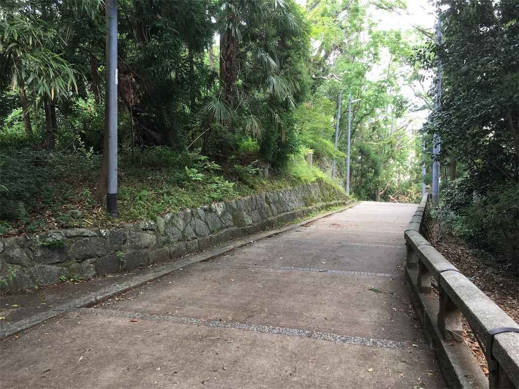 f:id:m3785com:20190619201038j:image