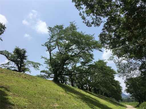 f:id:m3785com:20190630160336j:image