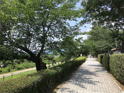 f:id:m3785com:20190630160339j:image