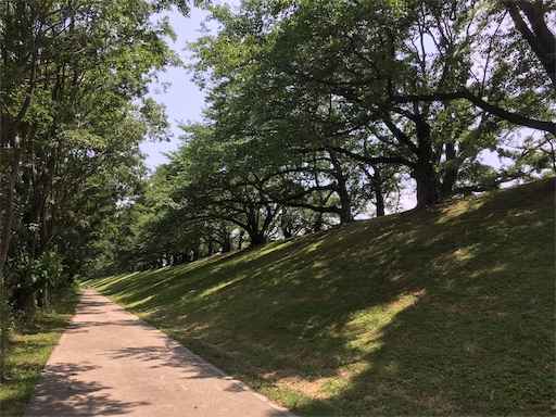 f:id:m3785com:20190630160346j:image