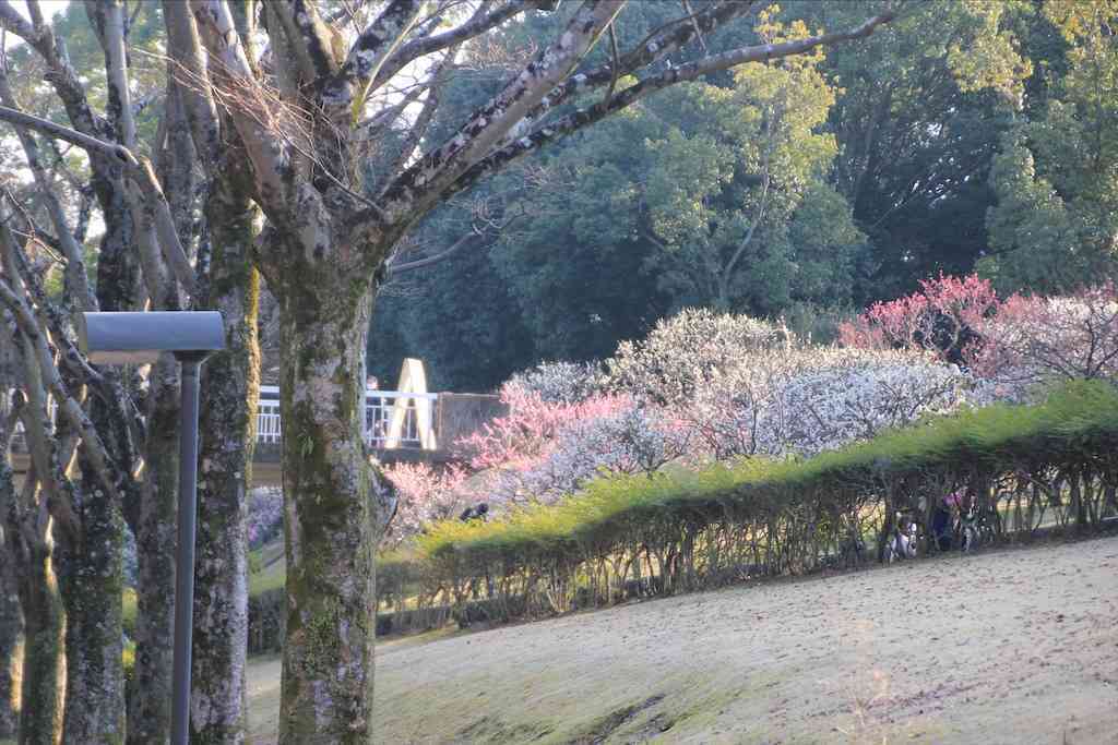 f:id:m3785com:20210221224301j:image f:id:m3785com:20210221224301j:image