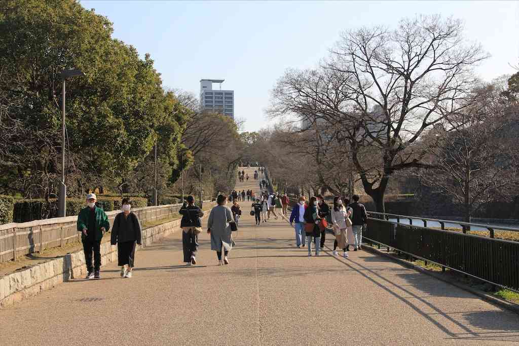 f:id:m3785com:20210315084011j:image f:id:m3785com:20210315084011j:image