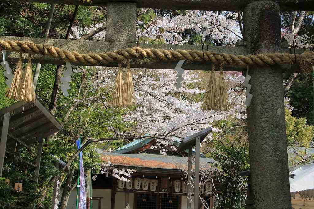 f:id:m3785com:20210329190819j:image