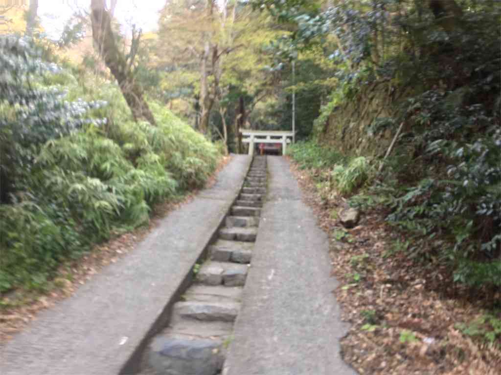 f:id:m3785com:20210329200242j:image