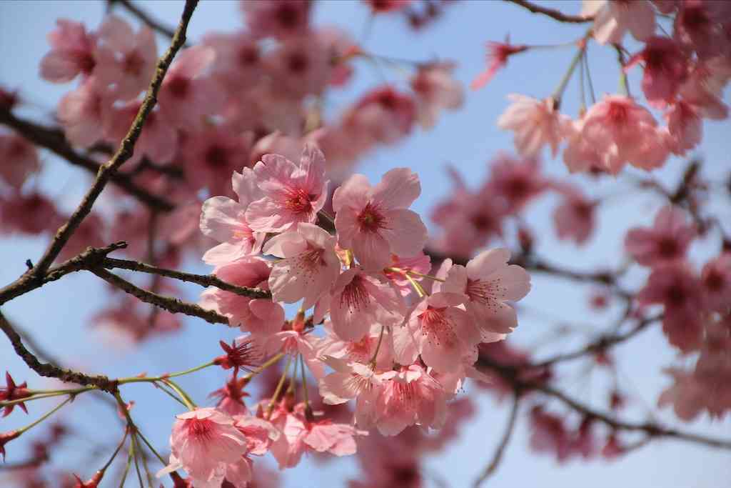 f:id:m3785com:20210329202434j:image