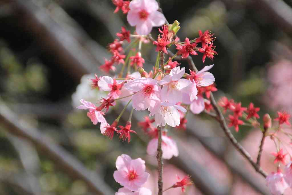 f:id:m3785com:20210329202437j:image