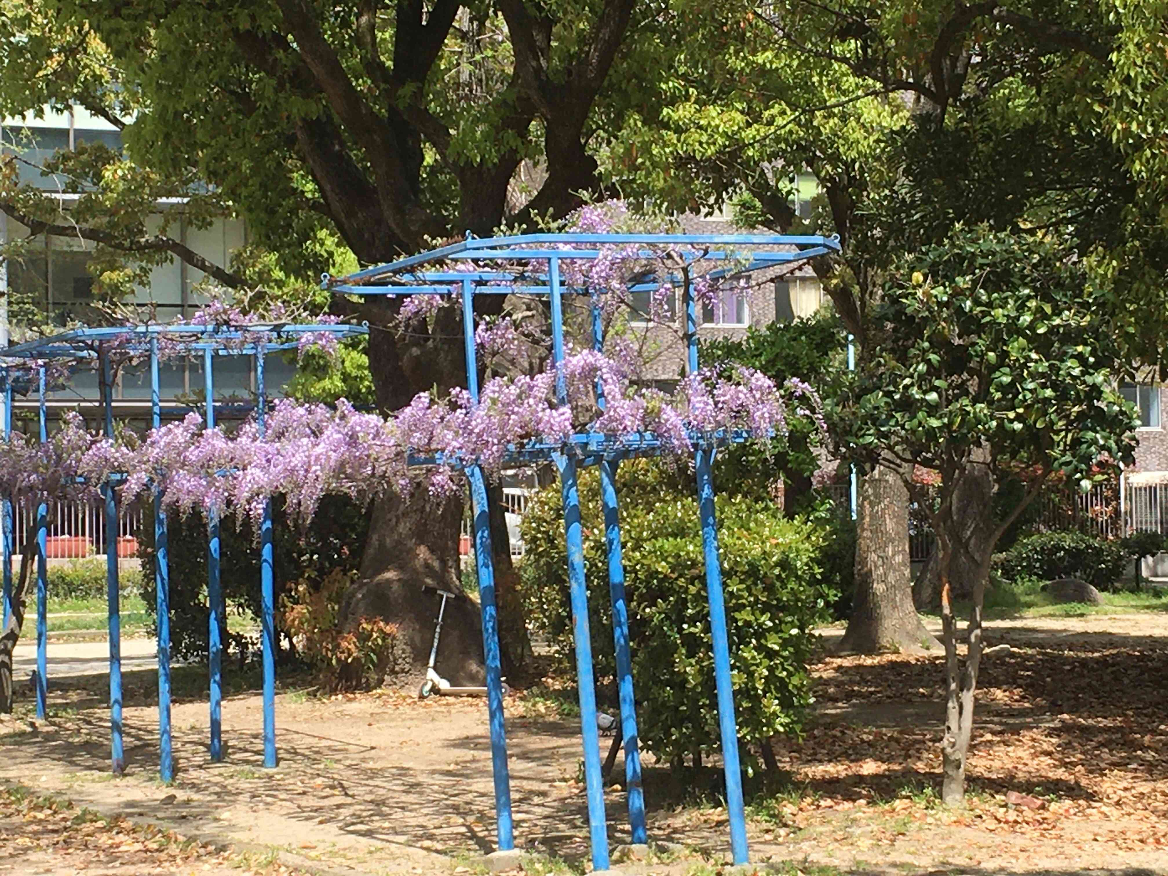 f:id:m3785com:20210410121437j:image f:id:m3785com:20210410121437j:image