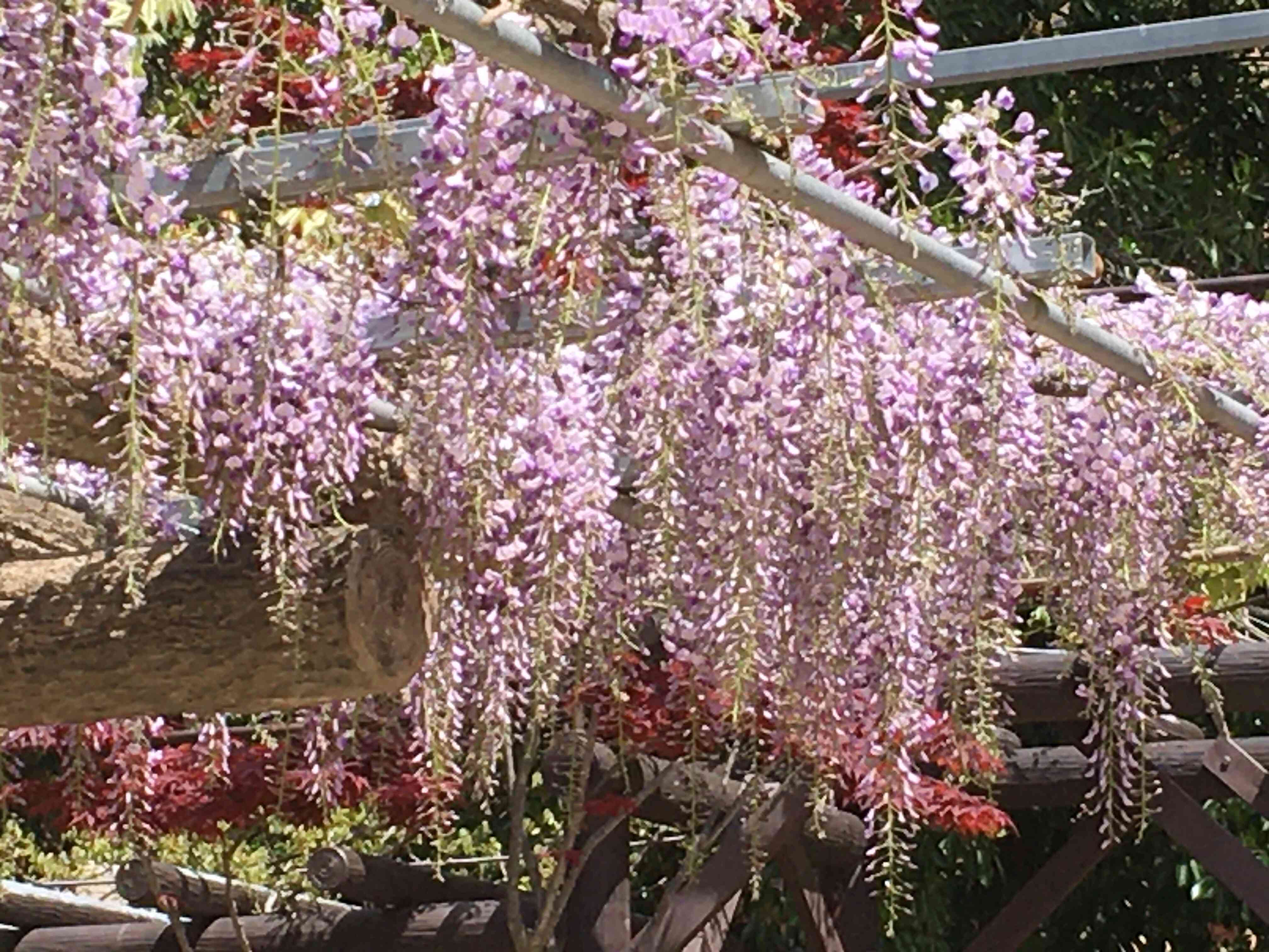 f:id:m3785com:20210410121448j:image f:id:m3785com:20210410121448j:image