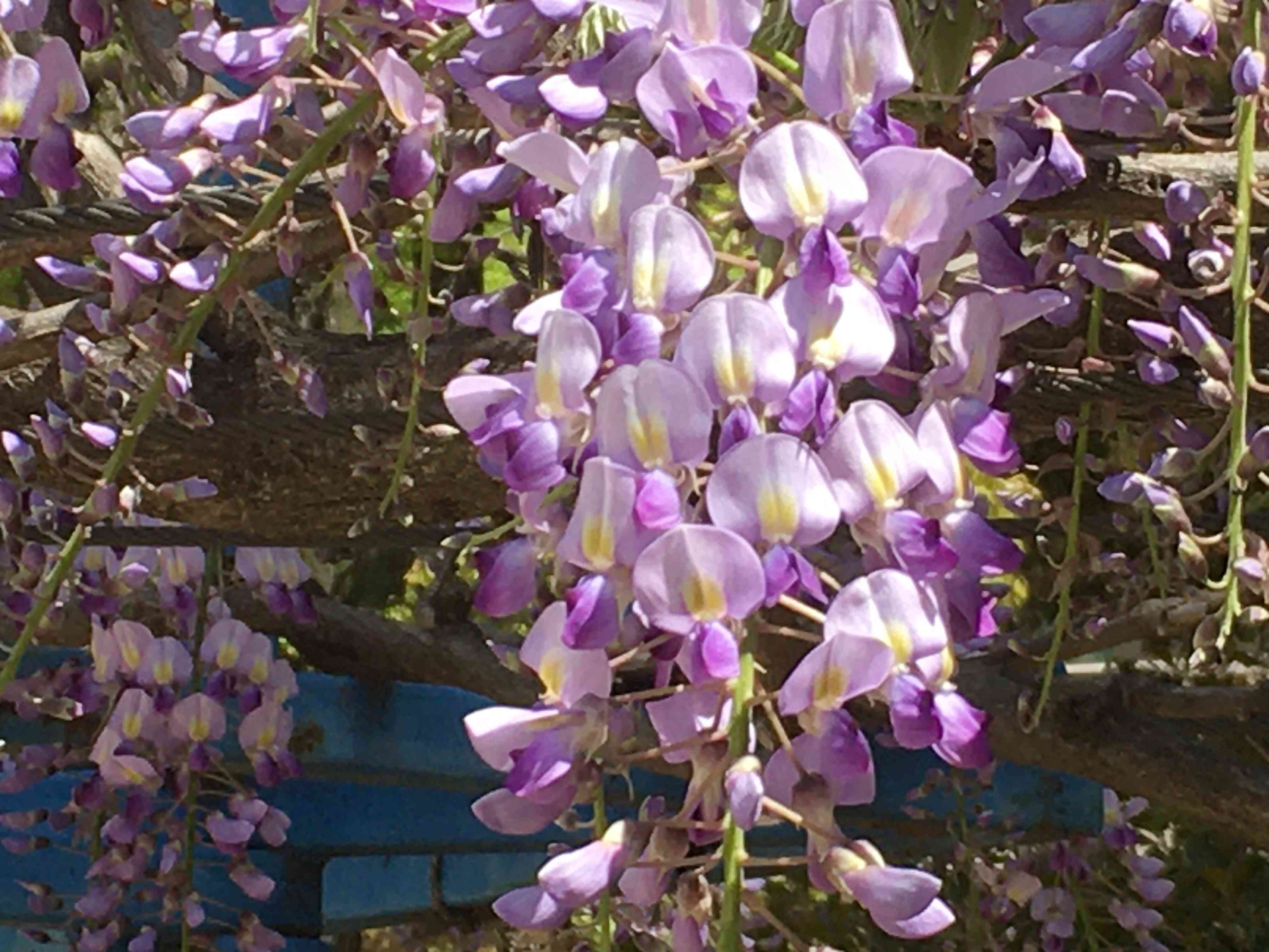 f:id:m3785com:20210410121459j:image f:id:m3785com:20210410121459j:image