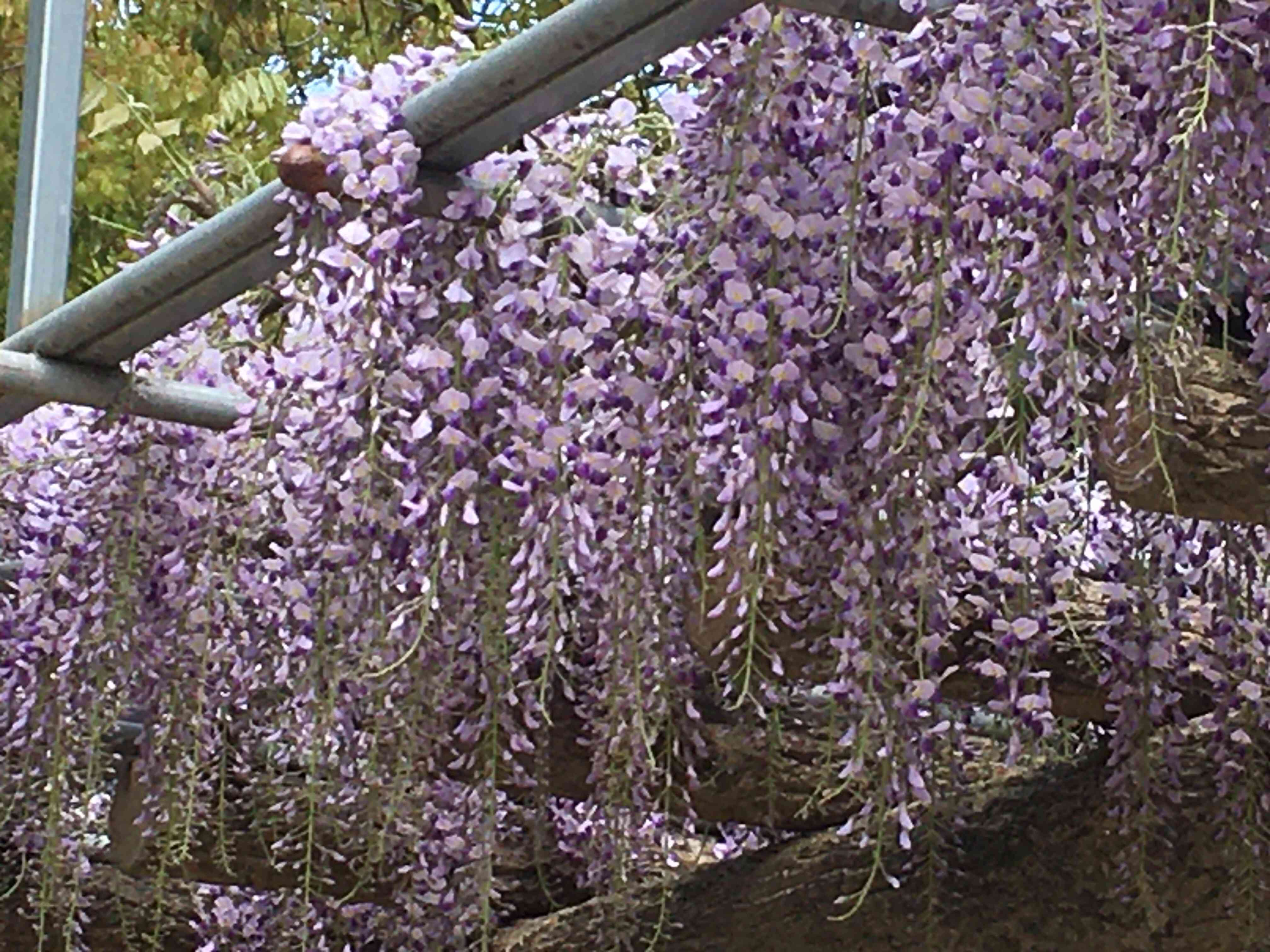 f:id:m3785com:20210410121533j:image f:id:m3785com:20210410121533j:image