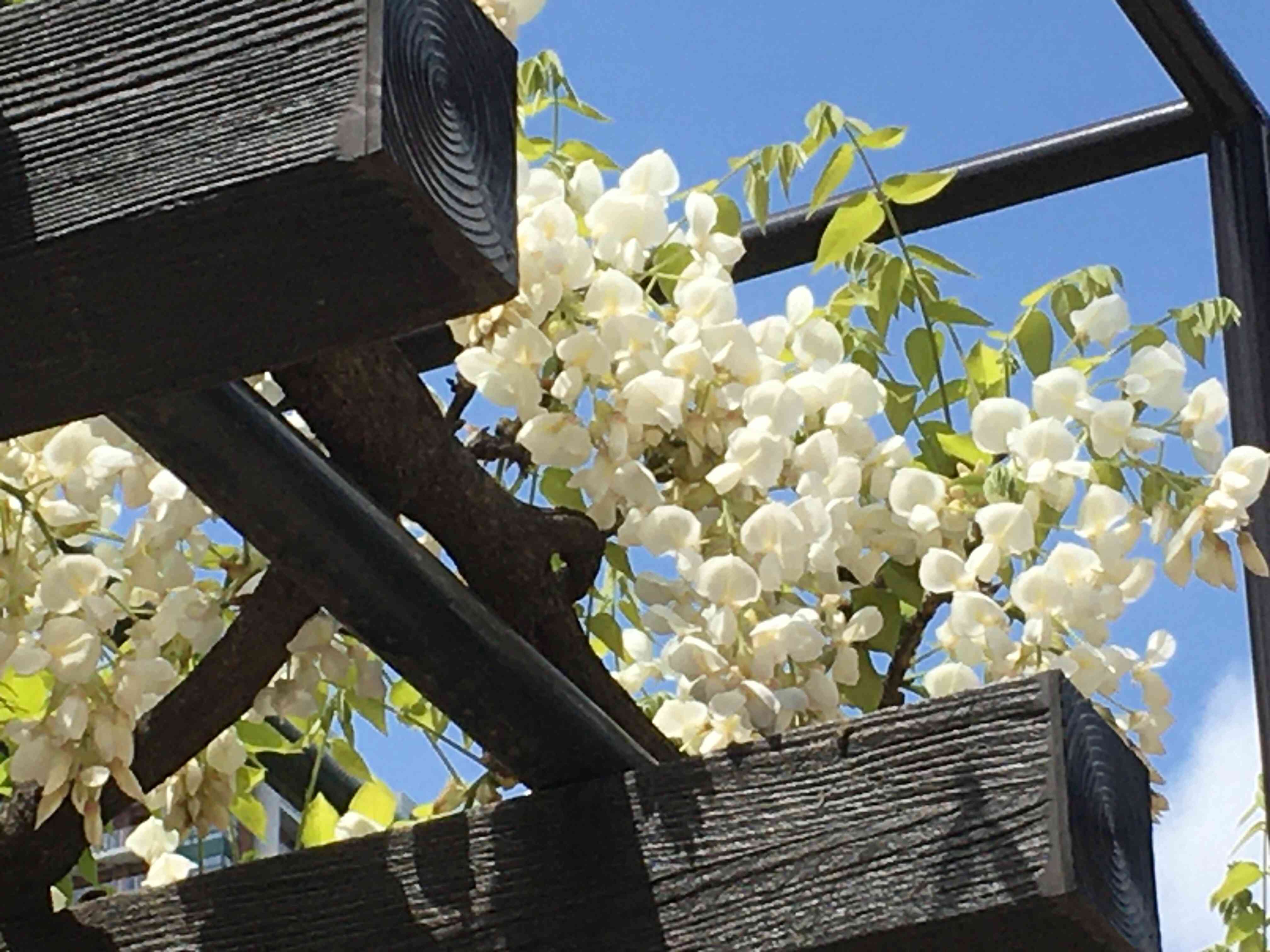 f:id:m3785com:20210410121543j:image f:id:m3785com:20210410121543j:image