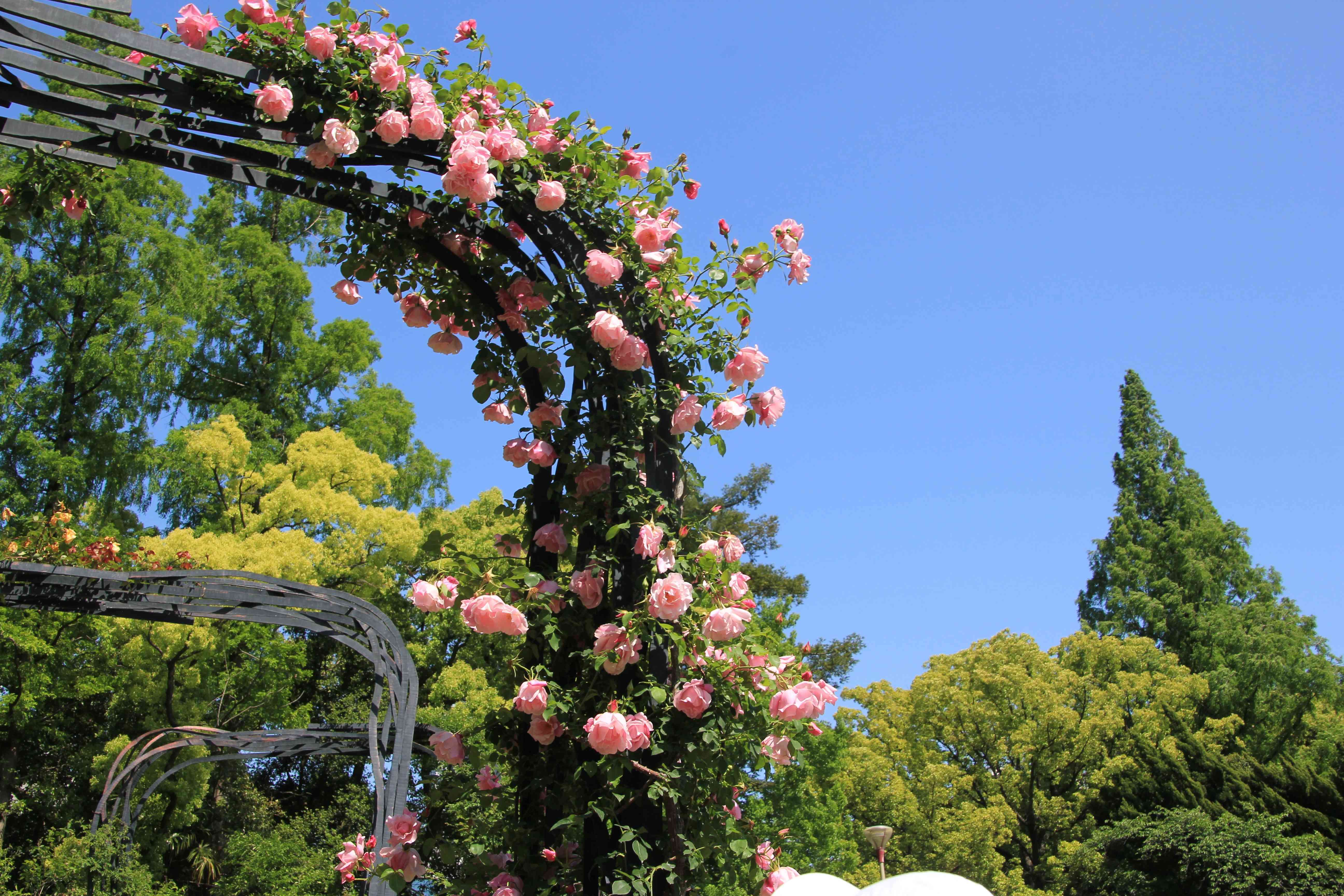 f:id:m3785com:20210503180640j:image