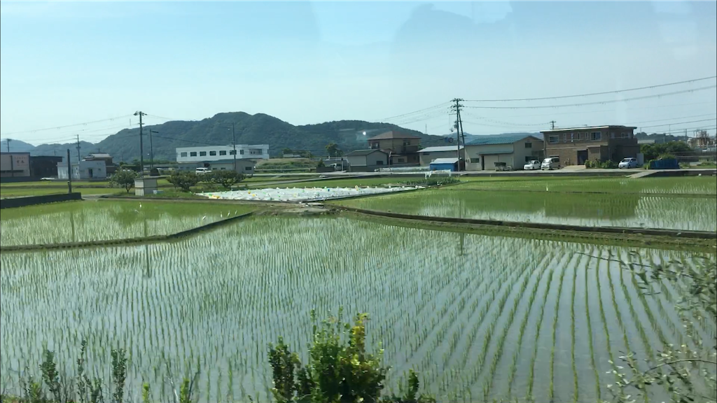 梅雨の合間の紀勢線車窓の風景