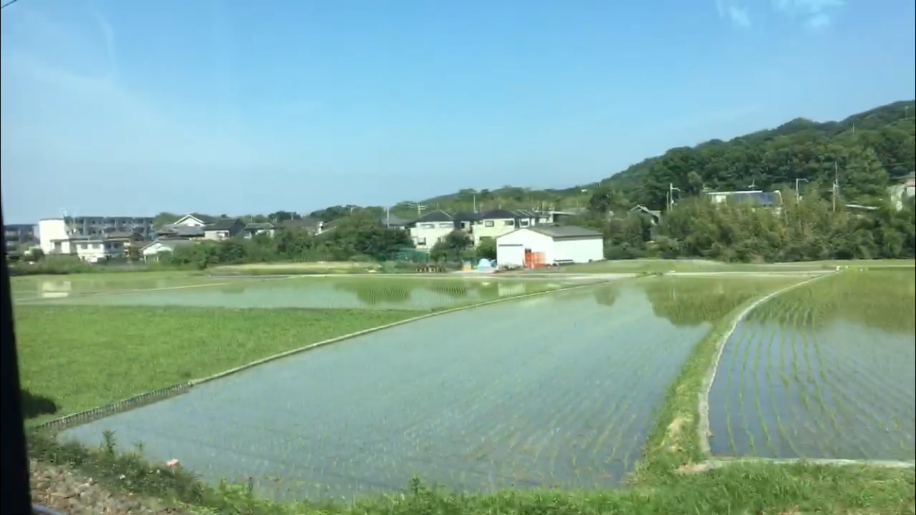 梅雨の合間の紀勢線車窓の風景