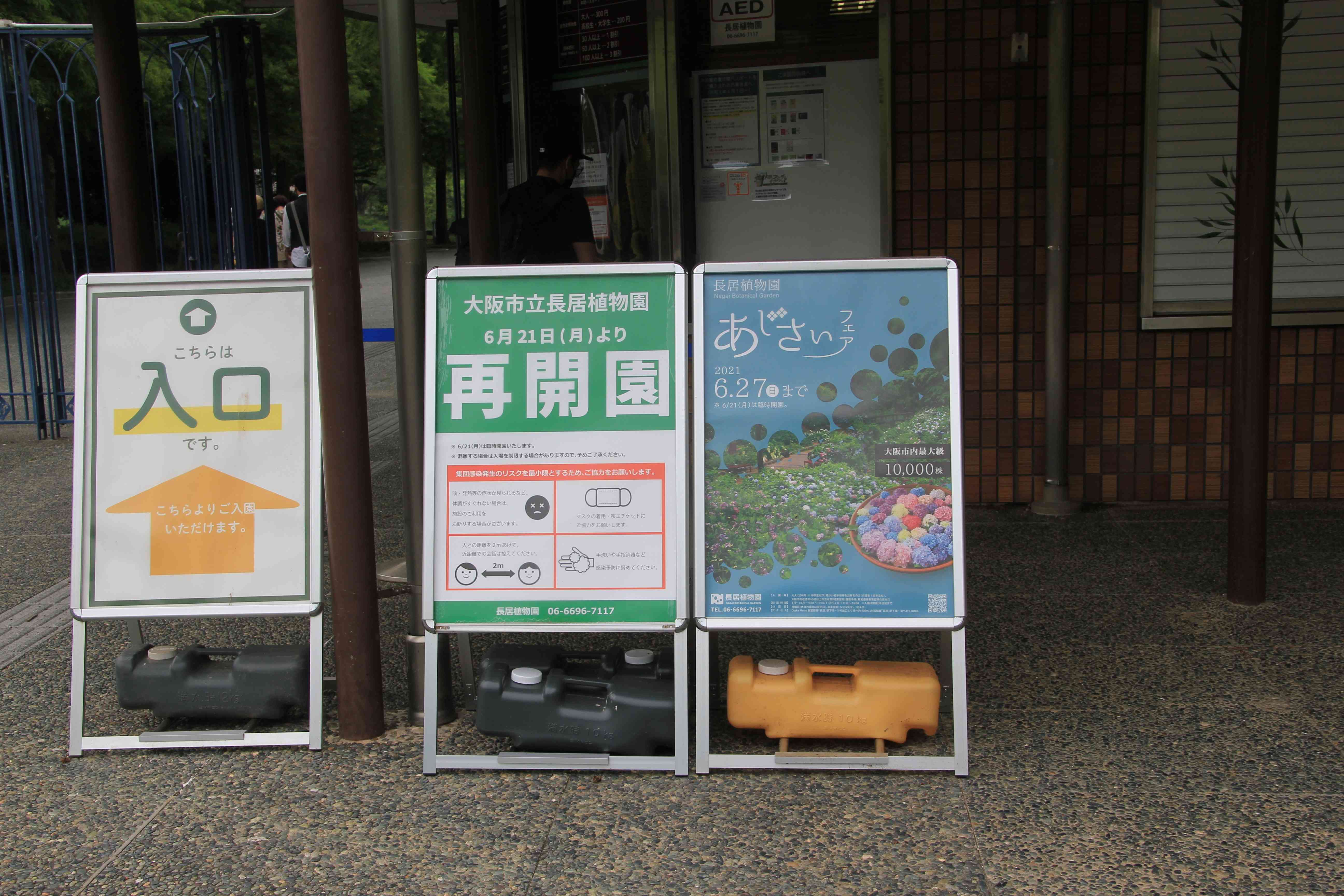 アジサイ祭りと再開園の案内