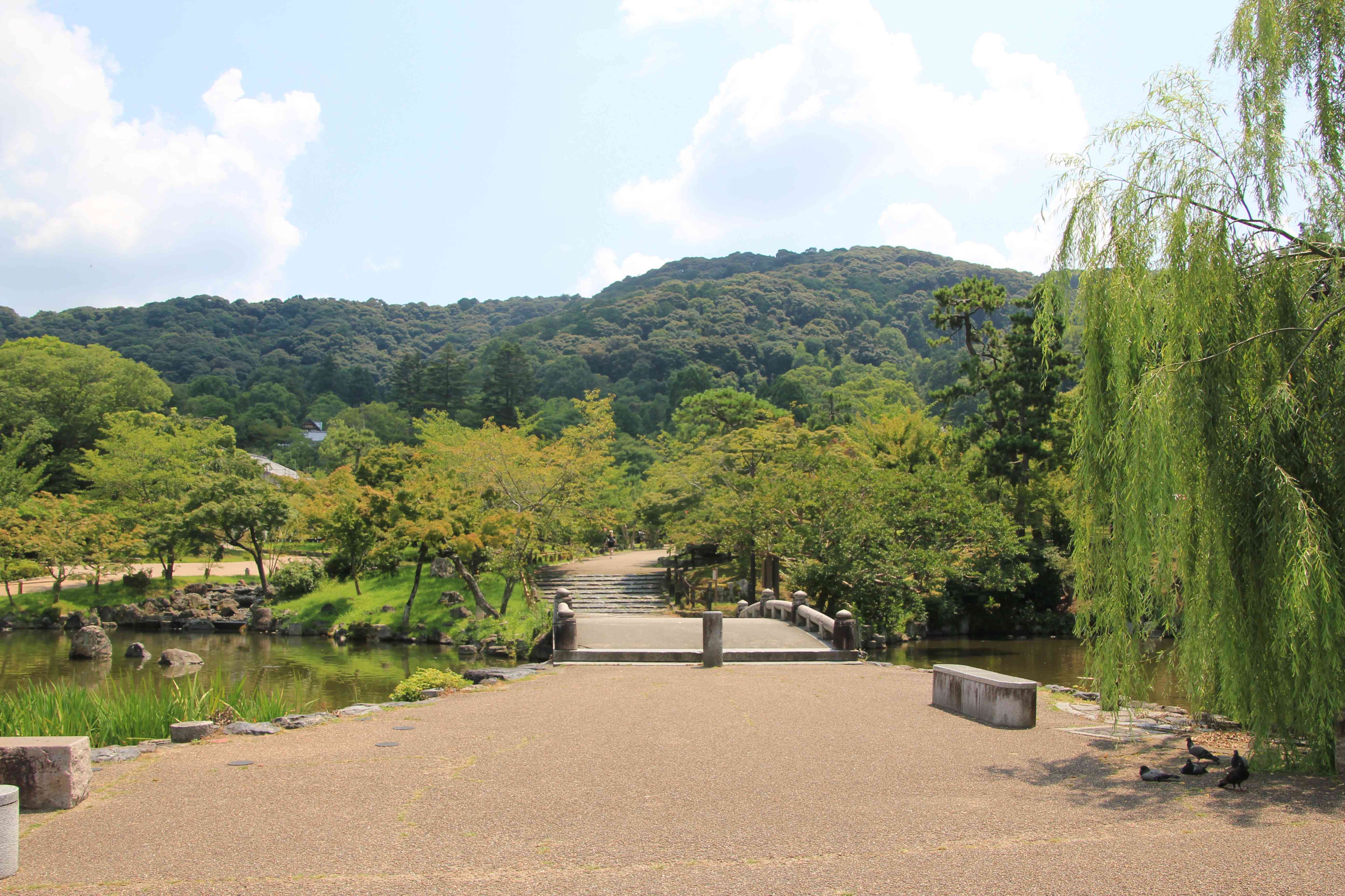 人影のない円山公園。東山の方