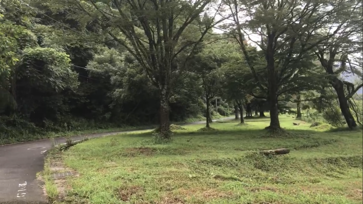 余呉湖を周回する余呉湖線と余呉湖の間に緑地帯があり公園を歩いているようだった。