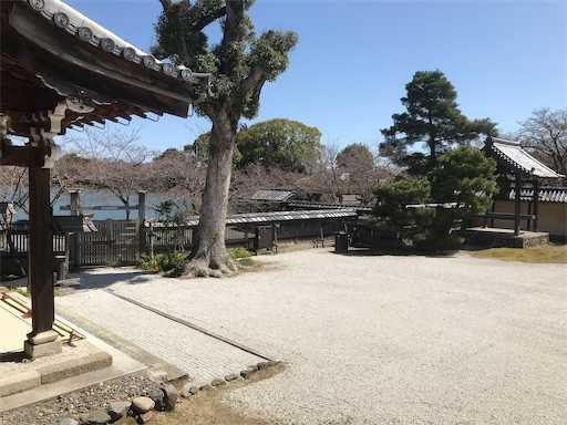 f:id:m3785com:20220401204943j:image f:id:m3785com:20220401204943j:image