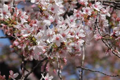 f:id:m3785com:20220411202416j:image
