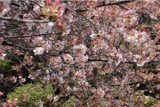 f:id:m3785com:20220411202514j:image
