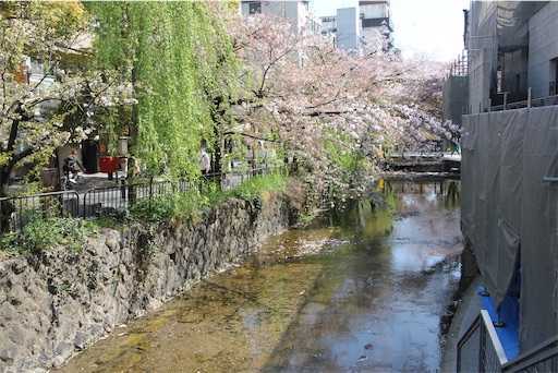 f:id:m3785com:20220411202659j:image