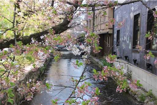 f:id:m3785com:20220411202728j:image