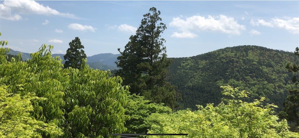 f:id:m3785com:20220509212025p:image