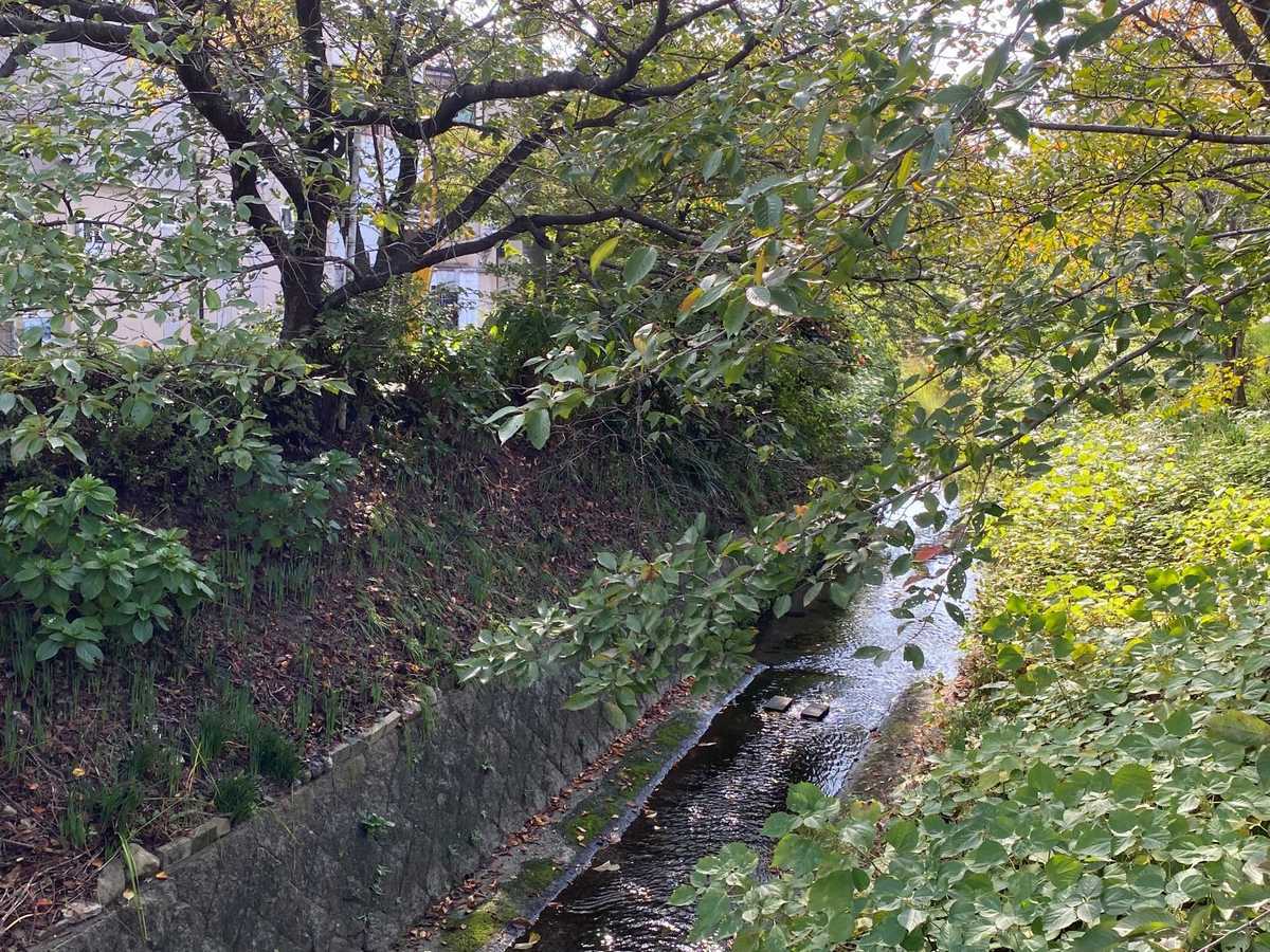 洛北橋（白川疎水通り）から先