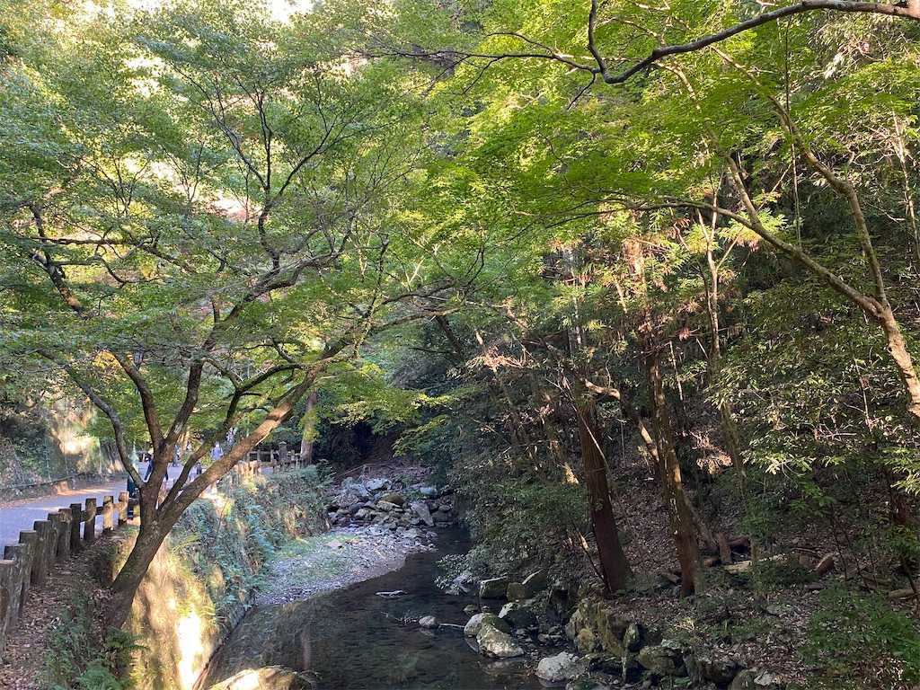f:id:m3785com:20221106185649j:image