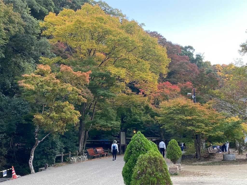 f:id:m3785com:20221106185719j:image
