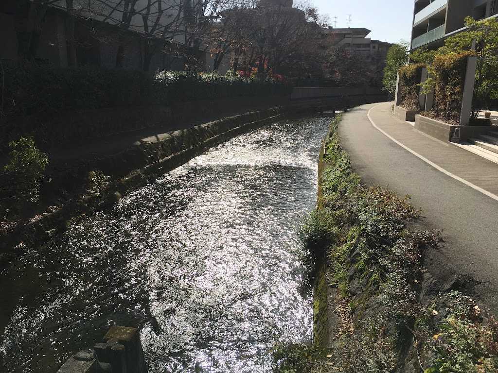 白川