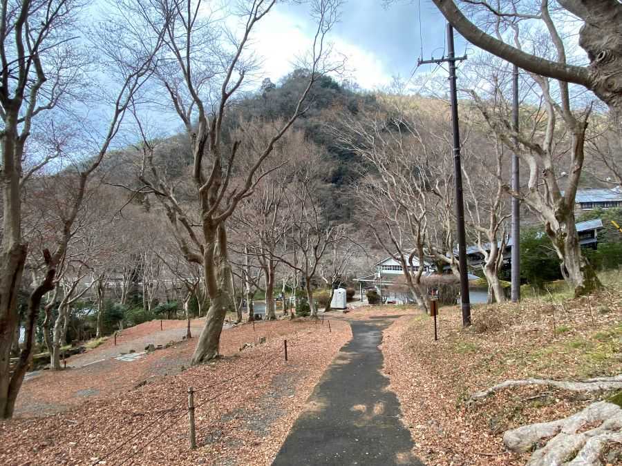 八瀬もみじの小径　