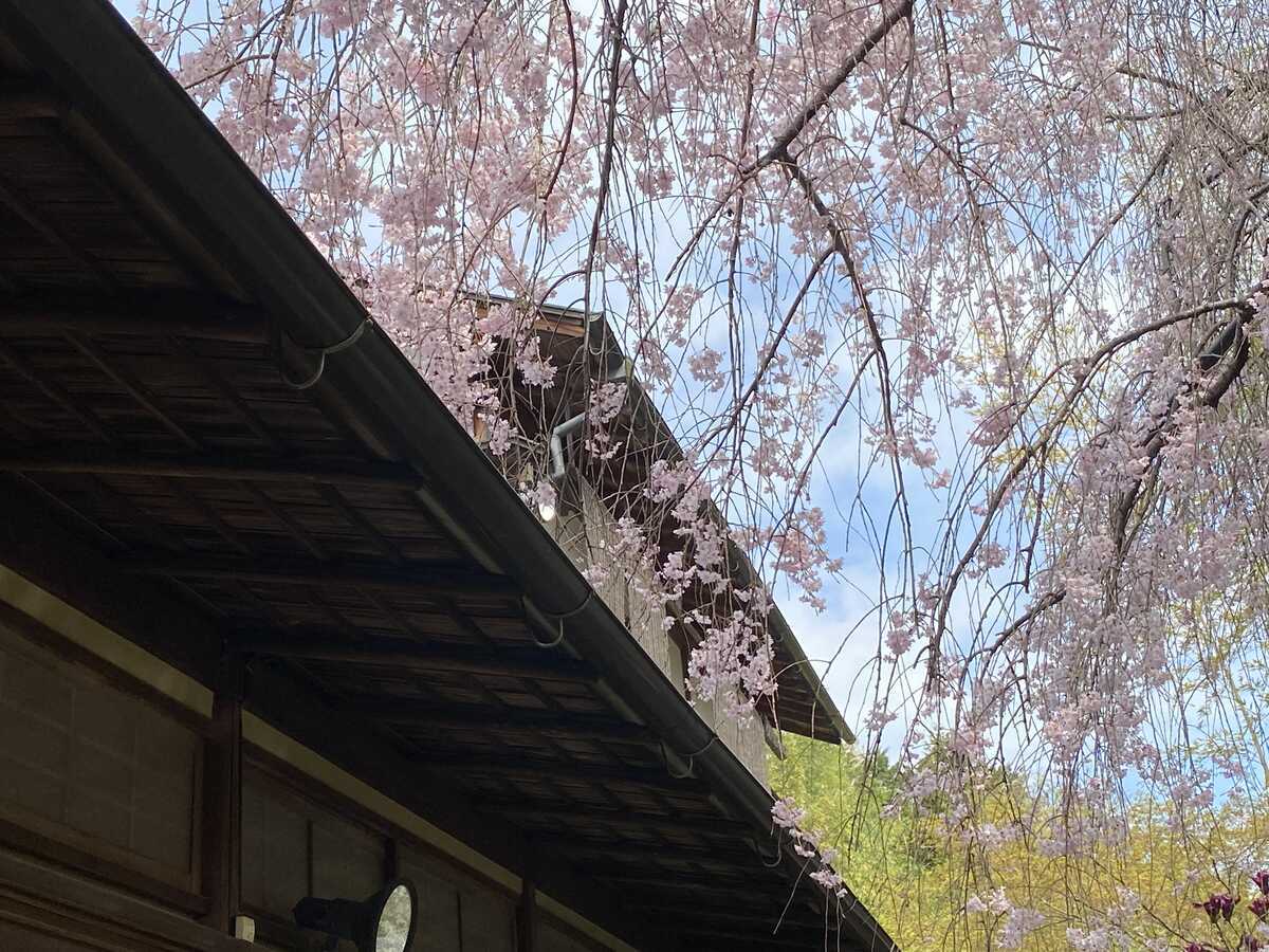 妙心寺　退蔵院　大休庵