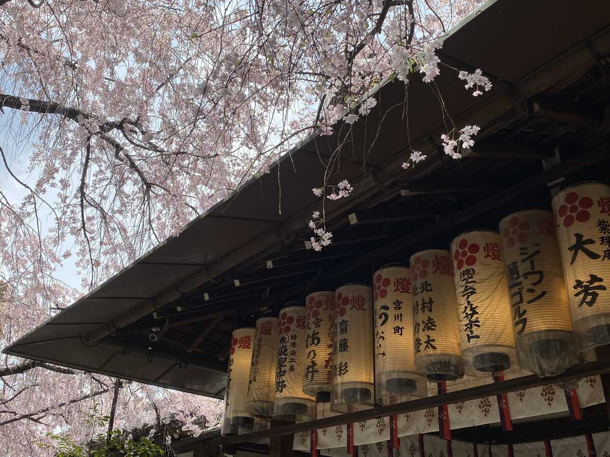 水火天満宮　櫻花祭